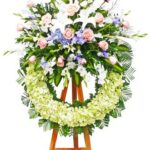 Imagen anterior del producto