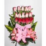 Imagen anterior del producto