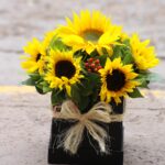 Imagen siguiente del producto