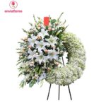 Imagen anterior del producto