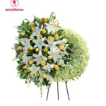 Imagen anterior del producto