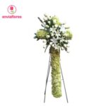 Imagen siguiente del producto