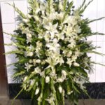 Imagen anterior del producto