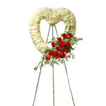 Imagen anterior del producto