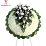 Imagen anterior del producto