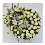 Imagen anterior del producto