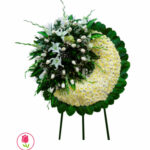 Imagen anterior del producto