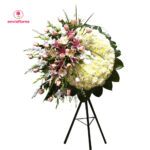 Imagen anterior del producto