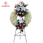 Imagen siguiente del producto