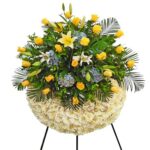 Imagen siguiente del producto